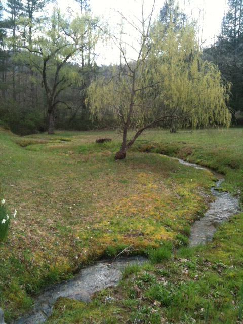 Hambidge Center Creek