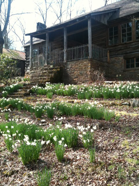 Hambidge Center View of Flowers