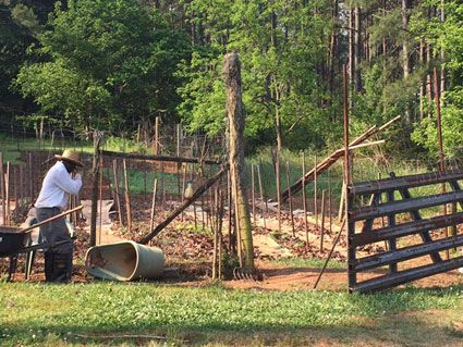 Monk Justin Tending Garden